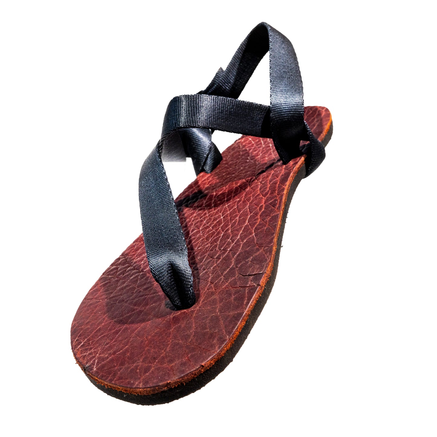 Raisin Red Bison