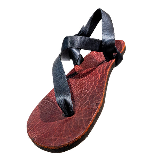 Raisin Red Bison